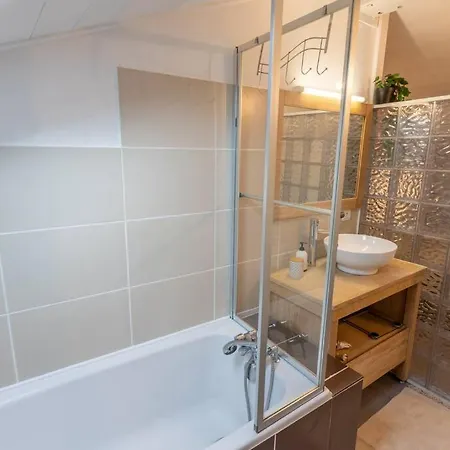 Les-toits-toulousains-metro-hypercentre Apartment