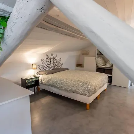 Les-toits-toulousains-metro-hypercentre Apartment
