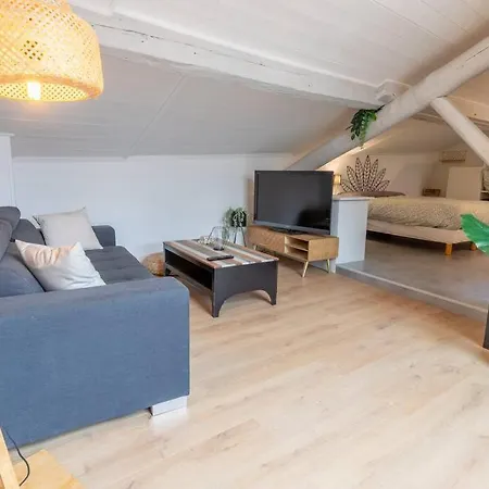 Apartment Les-toits-toulousains-metro-hypercentre *