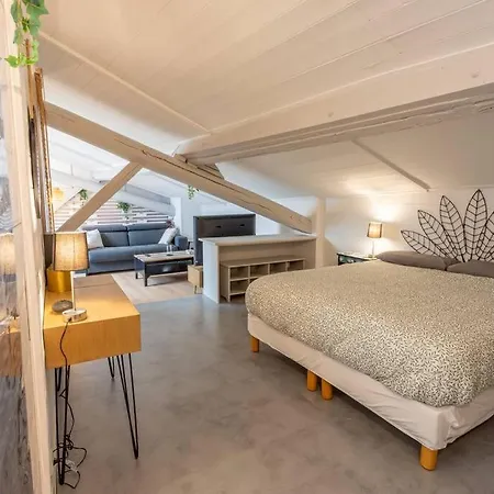 Les-toits-toulousains-metro-hypercentre Apartment Toulouse